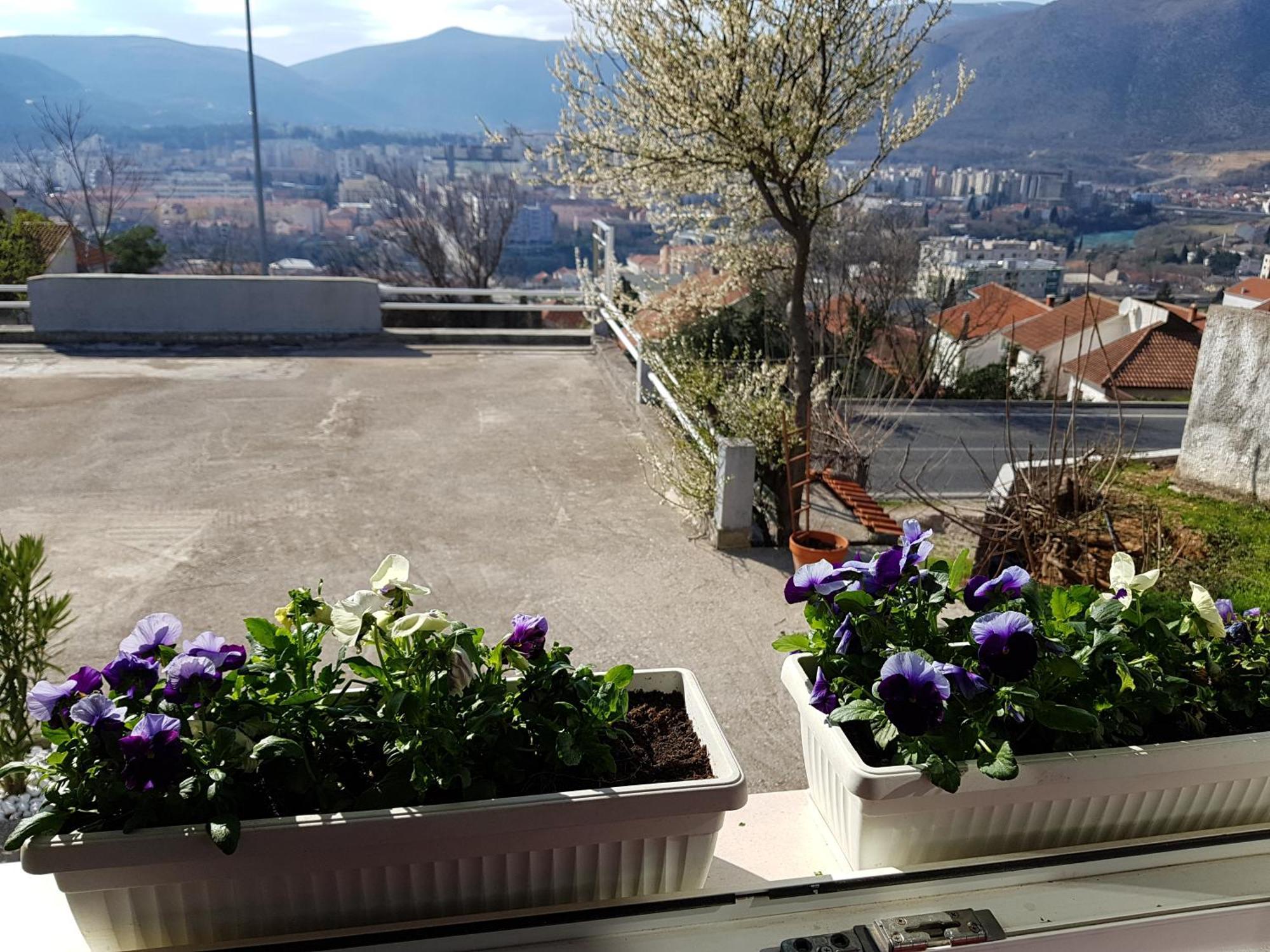 Apartment And Room Panorama Mostar Extérieur photo